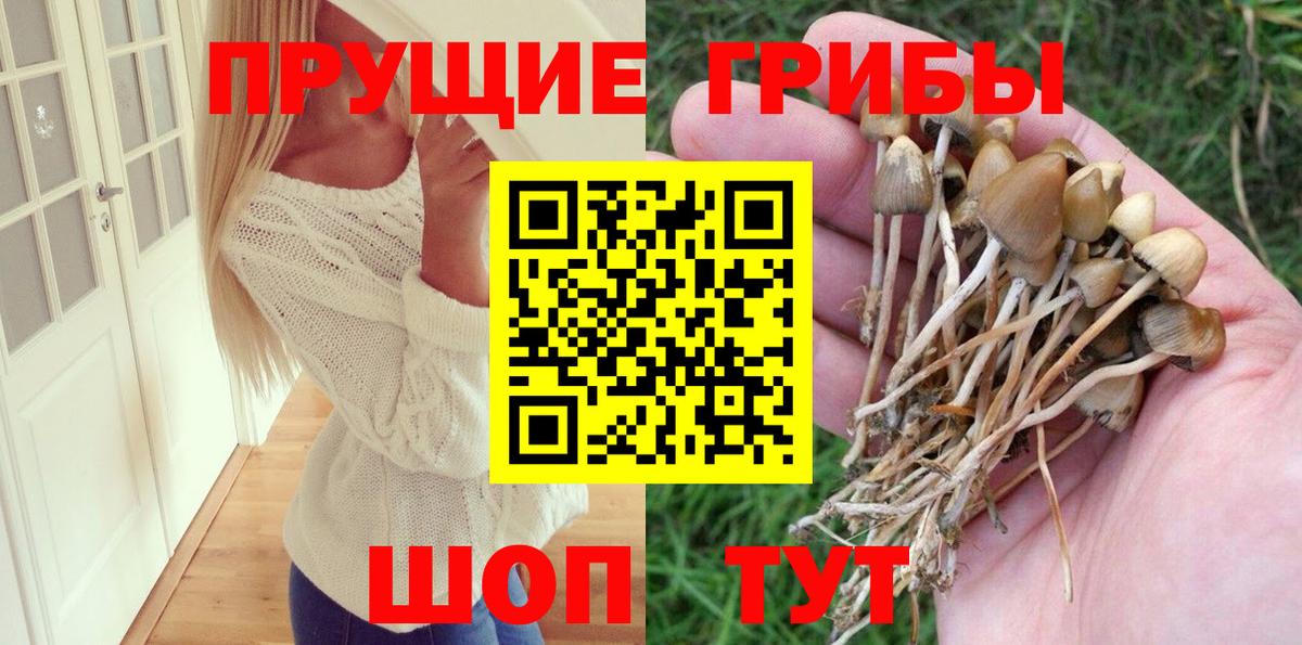 Алейск  Псилоцибиновые грибы GOLDEN TEACHER  Вход с VPN 